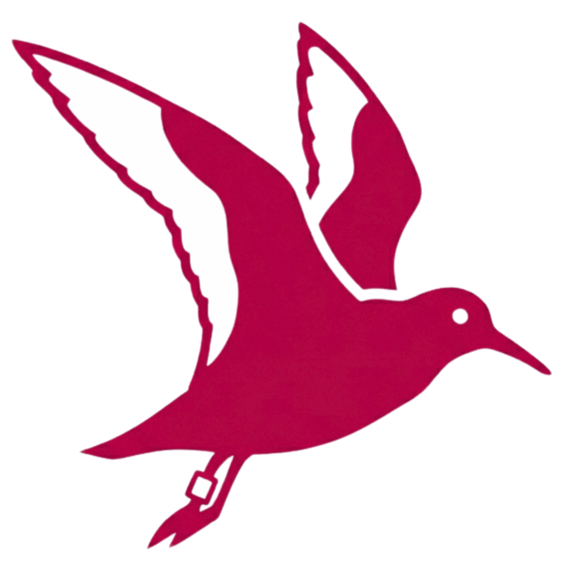 Logo ITS 15